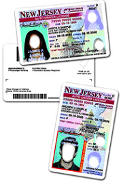 Photograph of the New Jersey driver licenses