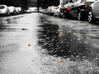 Photograph of a cars in the rain